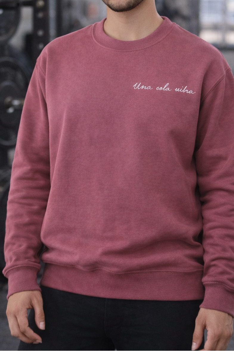 Sudadera IGA TEAM hombre