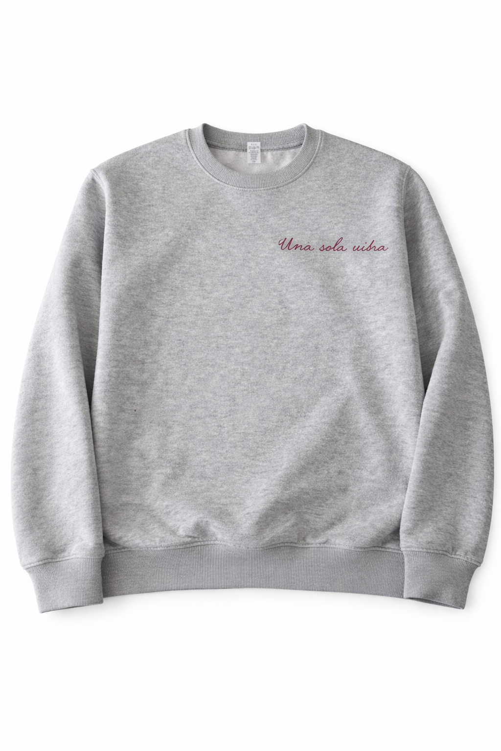 Sudadera IGA TEAM hombre